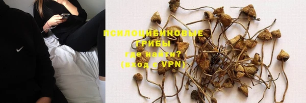бошки Волоколамск